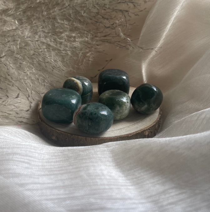 Pierre Agate Mousse | Équilibre émotionnel - Sérénité - Harmonie