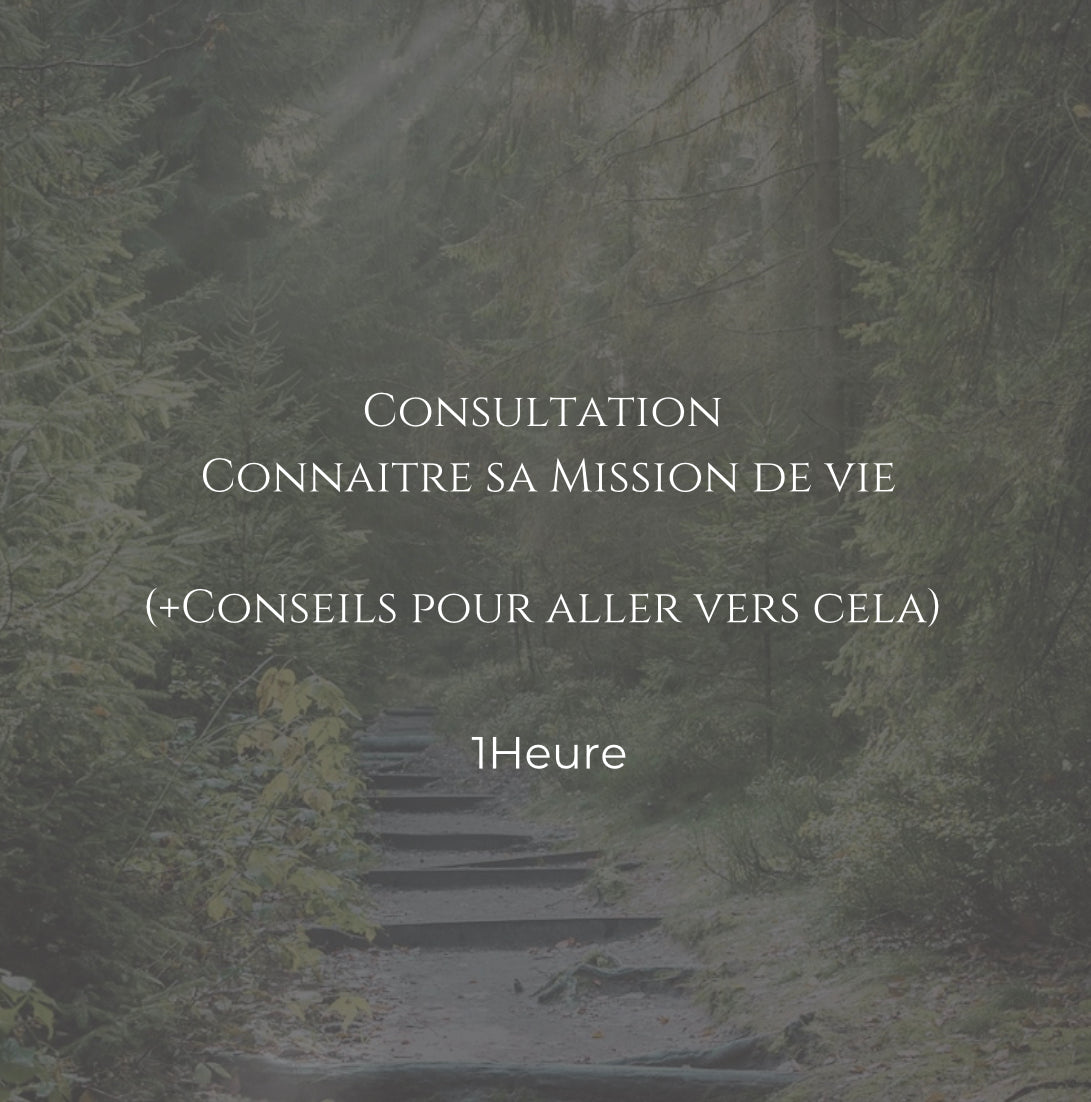 Consultation Coaching-Guidance (Révélation de Mission de Vie) | Trouvez votre Chemin (Professionnel et Général)