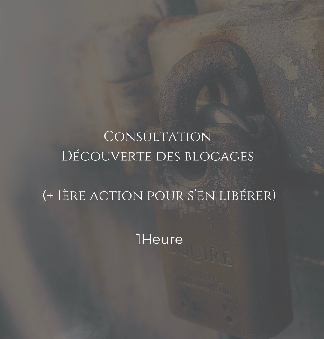 Consultation Coaching-Guidance (À la racine de vos Blocages) | Comprendre pour avancer