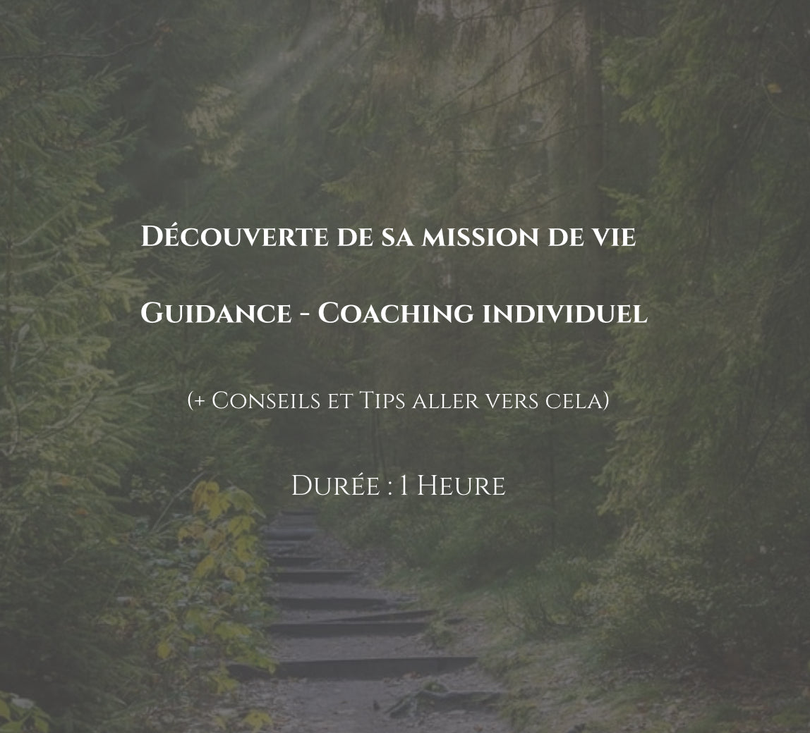 Consultation Coaching-Guidance (Révélation de Mission de Vie) | Trouvez votre Chemin (Professionnel et Général)